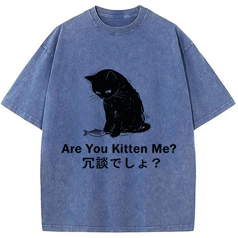 Modecanvas Are You Kitten Me DTG Printing Washed T-Shirt