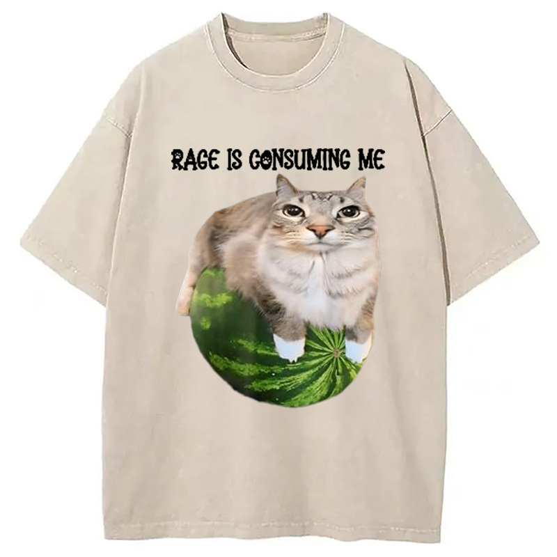 Modecanvas Rage Is Consuming Me Cat Meme Washed T-Shirt-modecanvas