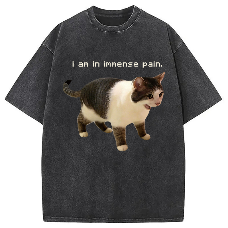 Modecanvas Screaming Cat Immense Pain DTG Printing Washed T-Shirt