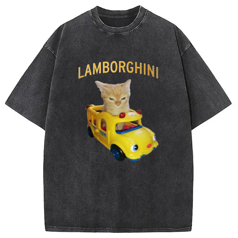 Modecanvas Car Cat Funny Meme Washed T-Shirt
