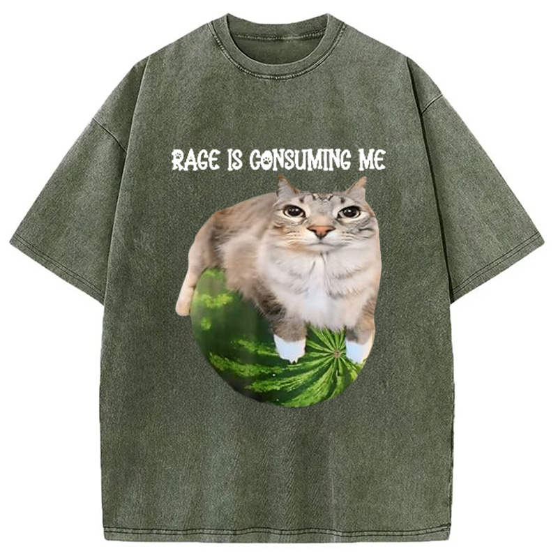 Modecanvas Rage Is Consuming Me Cat Meme Washed T-Shirt-modecanvas