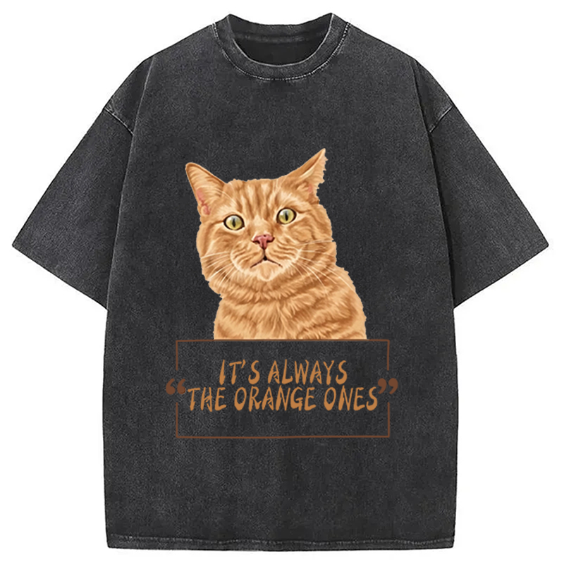 Modecanvas It Always Cat Meme DTG Printing Washed T-Shirt