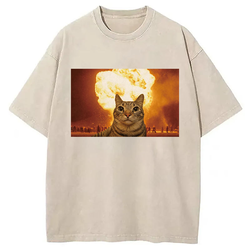 Modecanvas Cat Explosion Brain Rot DTG Printing Washed T-Shirt