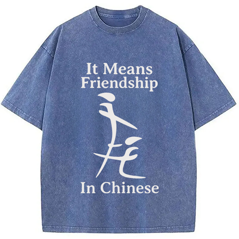 Modecanvas Funny Inappropriate Meme DTG Printing Washed T-Shirt