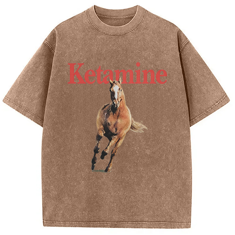 Modecanvas Ketamine Horse Run DTG Printing Washed T-Shirt