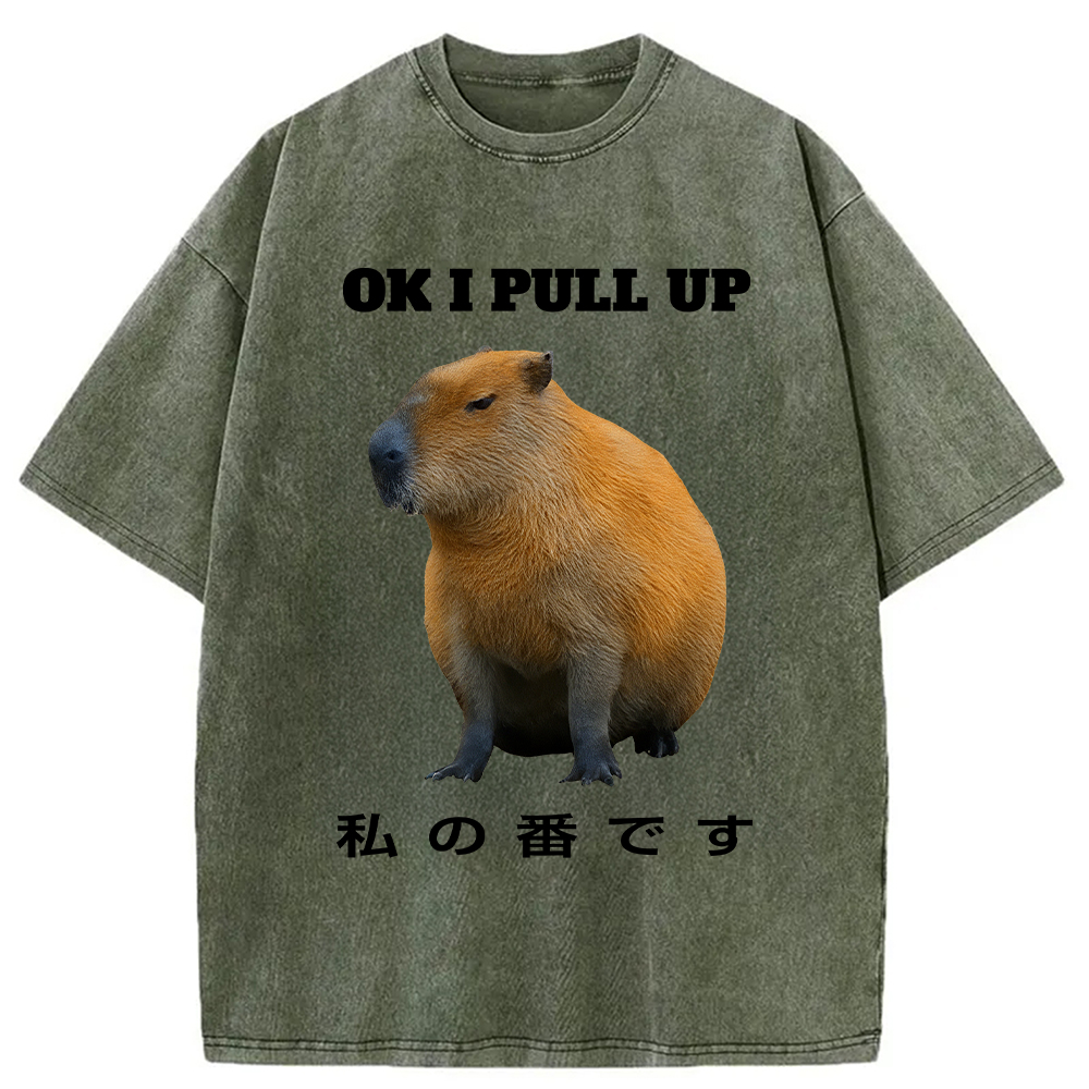 Modecanvas Ok I Pull Up Funny Capybara Washed T-Shirt