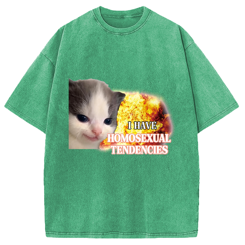 Modecanvas I Have Homosexual Tendencies Evil Kitty Meme DTG Printing Washed T-Shirt