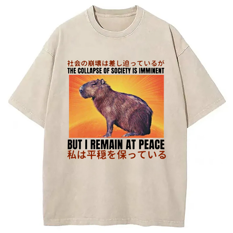 Modecanvas The Collapse of Society is Imminent Washed T-Shirt