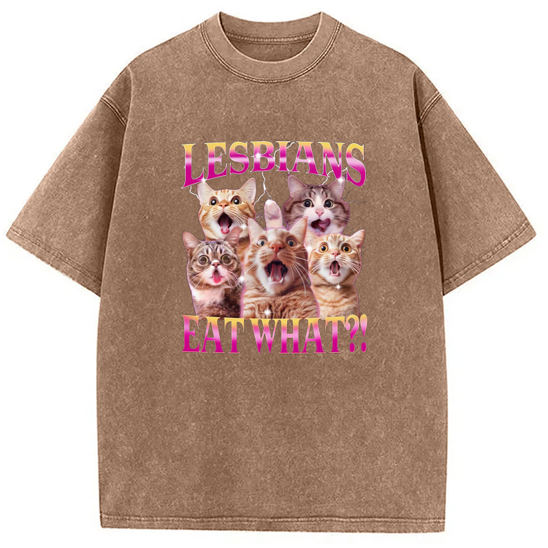 Modecanvas Funny Lesbian Cat Washed T-Shirt