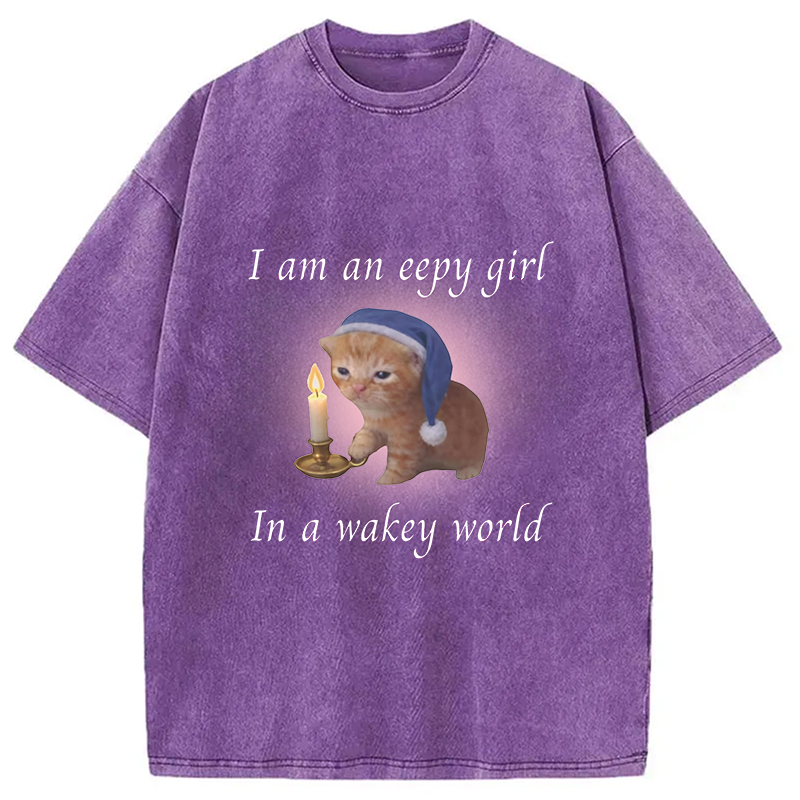 Modecanvas Eepy Girl Cat Meme DTG Printing Washed T-Shirt