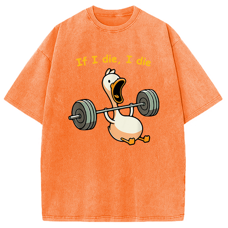 Modecanvas I Die Funny Meme Washed T-Shirt