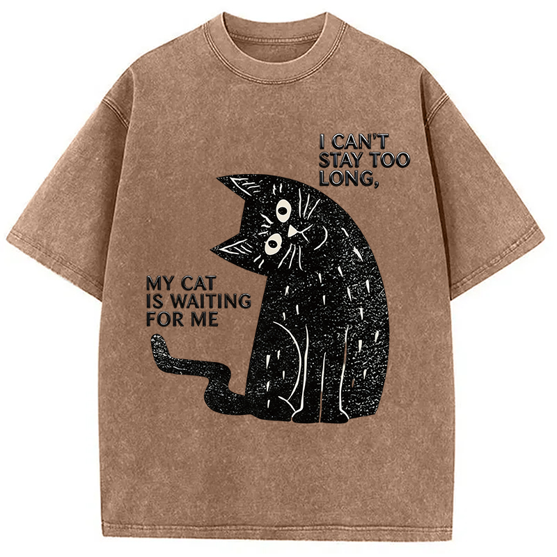 Modecanvas My Cat Is Waiting for Me Washed T-Shirt