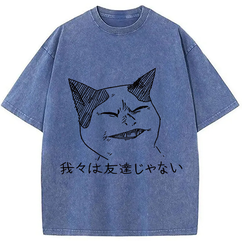 Modecanvas Angry Cat Funny Washed T-Shirt