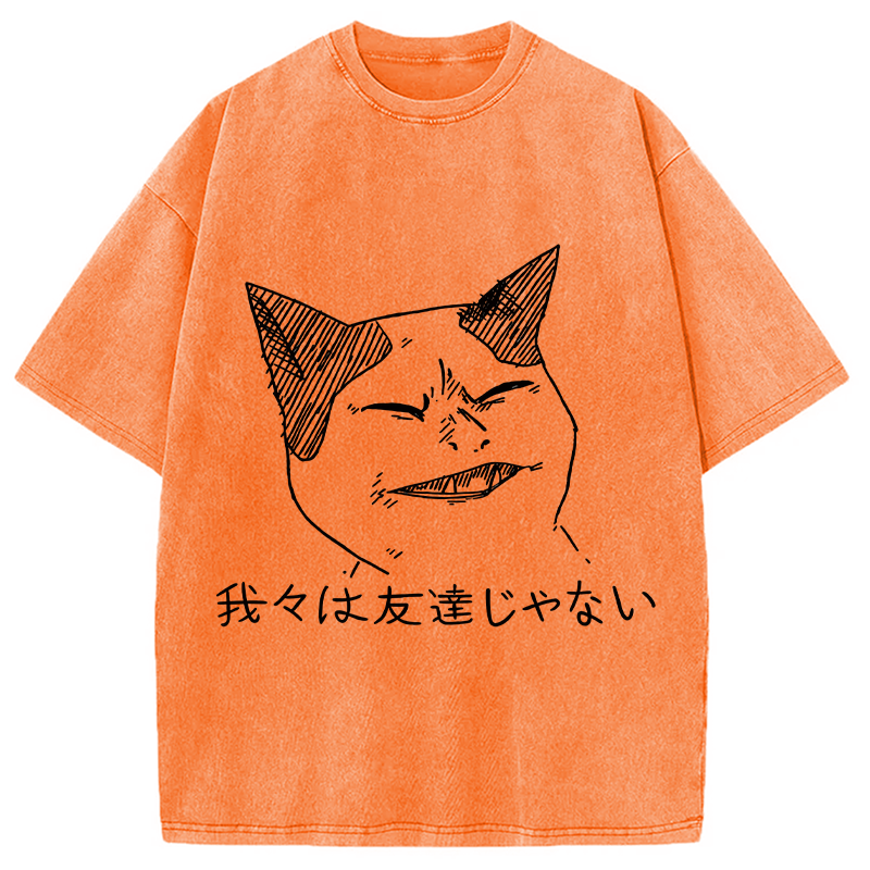 Modecanvas Angry Cat Funny Washed T-Shirt
