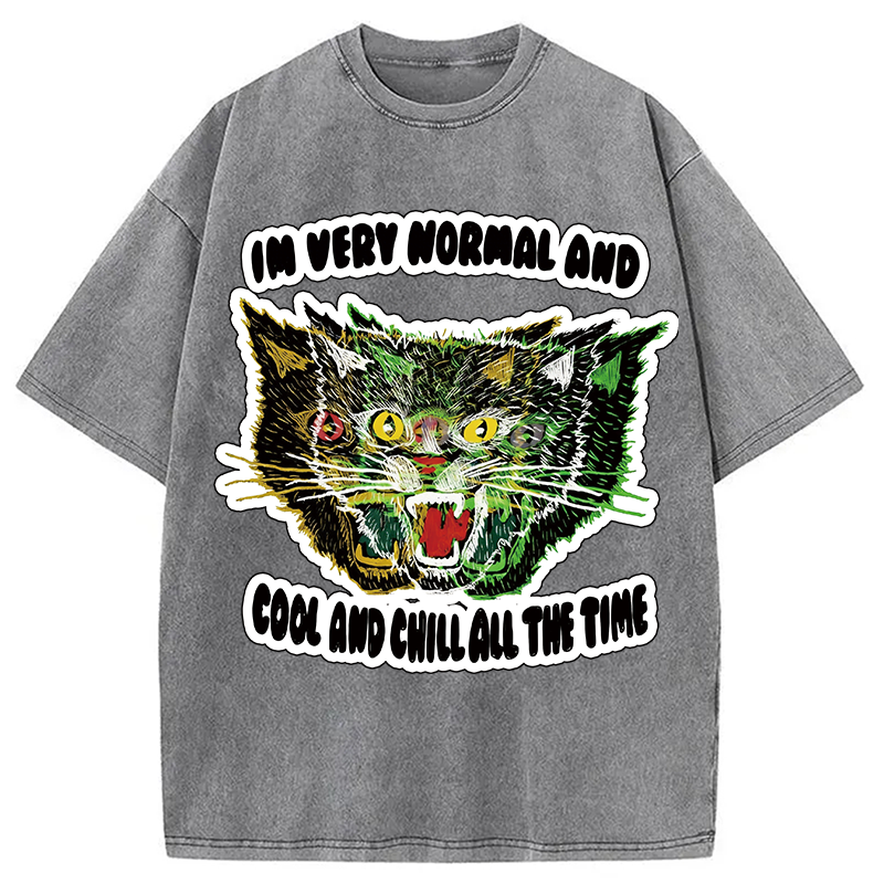 Modecanvas Normal And Chill Cat DTG Printing Washed T-Shirt