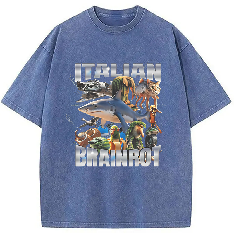 Modecanvas Italian Brainrot Washed T-Shirt