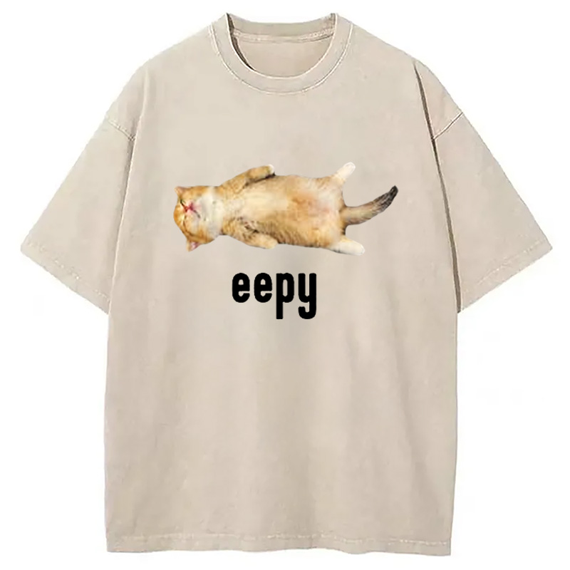 Modecanvas Silly Sleepy Cat Meme Washed T-Shirt-modecanvas