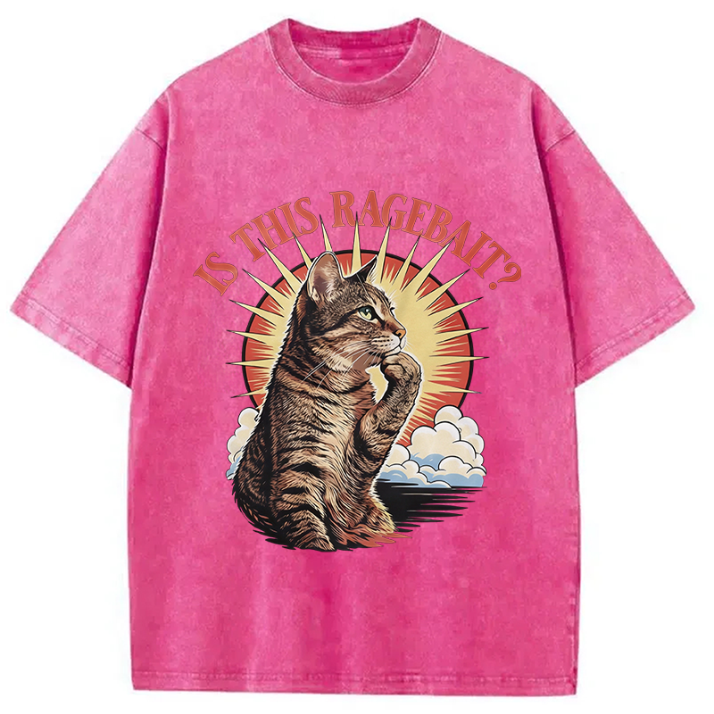 Modecanvas Is This Ragebait? Cat Meme DTG Printing Washed T-Shirt
