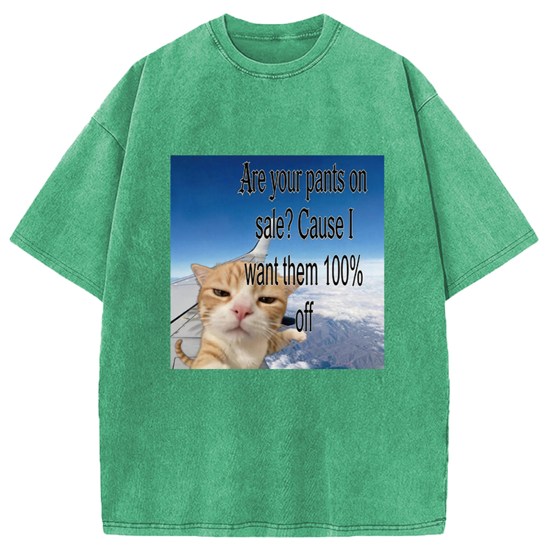 Modecanvas Are Your Pants On Sale? Cause I Want Them 100% Off DTG Printing Washed T-Shirt