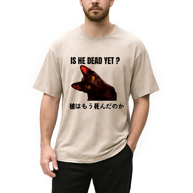 Modecanvas Is He Dead Yet Washed T-Shirt