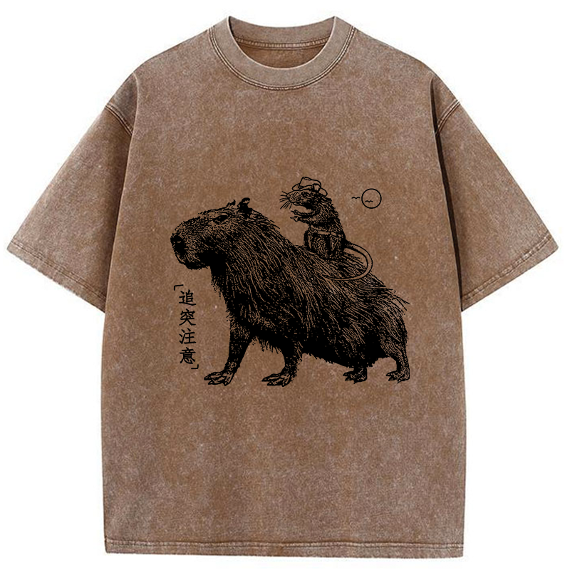 Modecanvas Mouse Riding A Capybara Washed T-Shirt