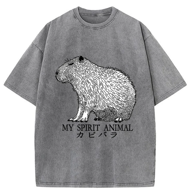 Modecanvas Capybara Spirit Washed T-Shirt