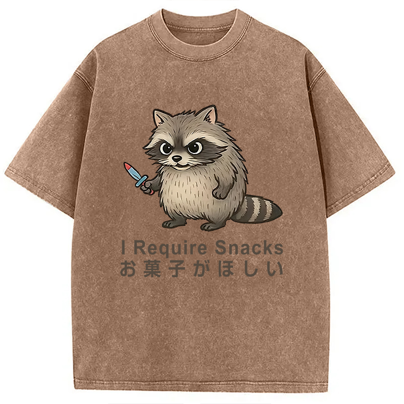 Modecanvas Raccoons Need Snacks Funny Washed T-Shirt
