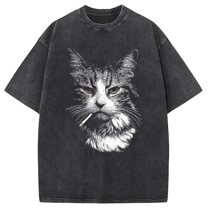 Modecanvas Cool Cat Smoking Meme DTG Printing Washed T-Shirt-modecanvas