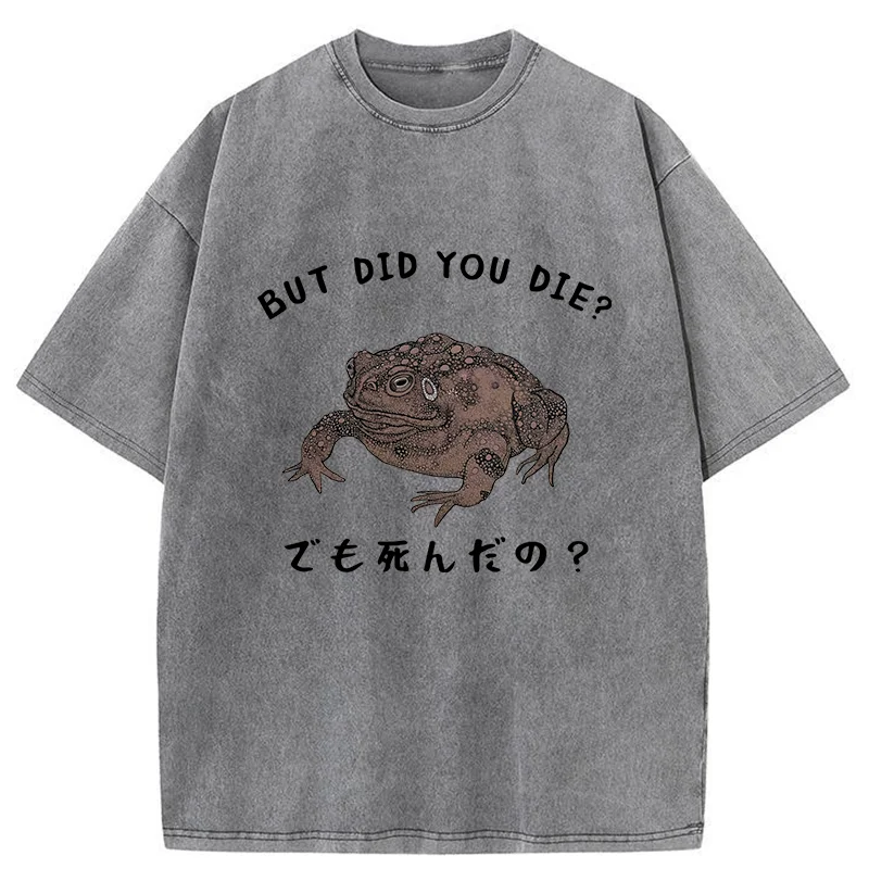 Modecanvas Question From Frog Funny Washed T-Shirt