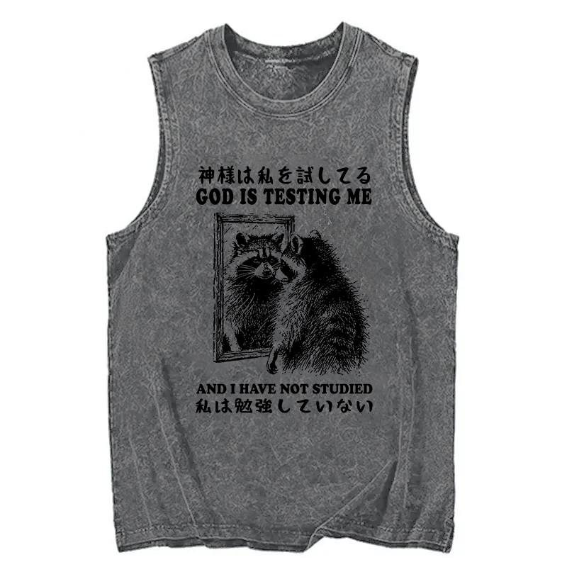 Modecanvas Raccoon Not Studied DTG Printing Washed Tank-modecanvas