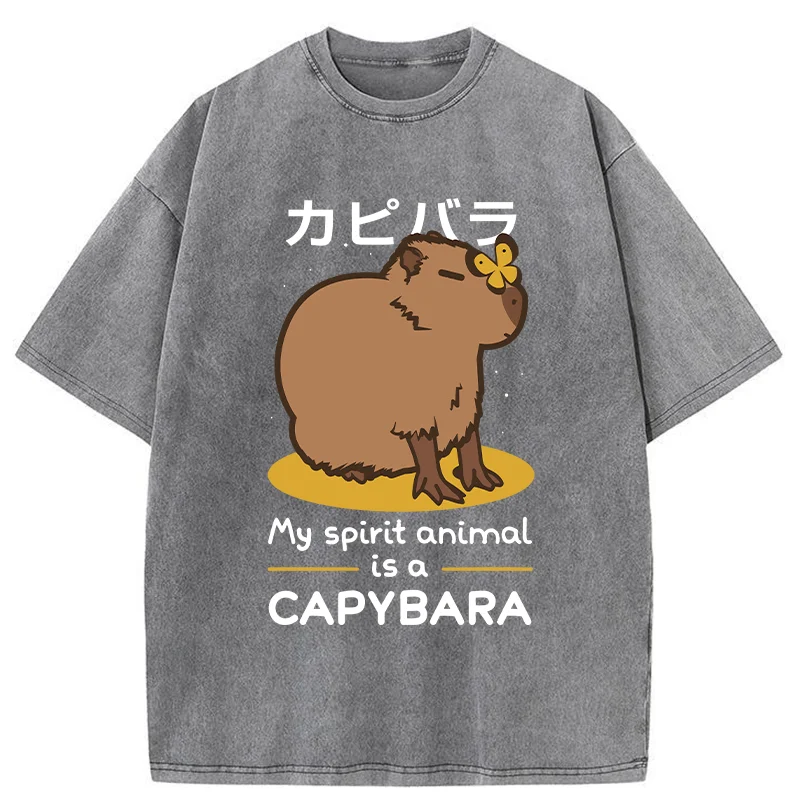 Modecanvas Spirit Animal Capybara Washed T-Shirt
