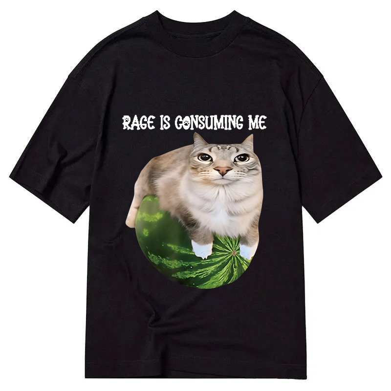 Modecanvas Rage Is Consuming Me Cat Meme DTG Printing Classic T-Shirt-modecanvas