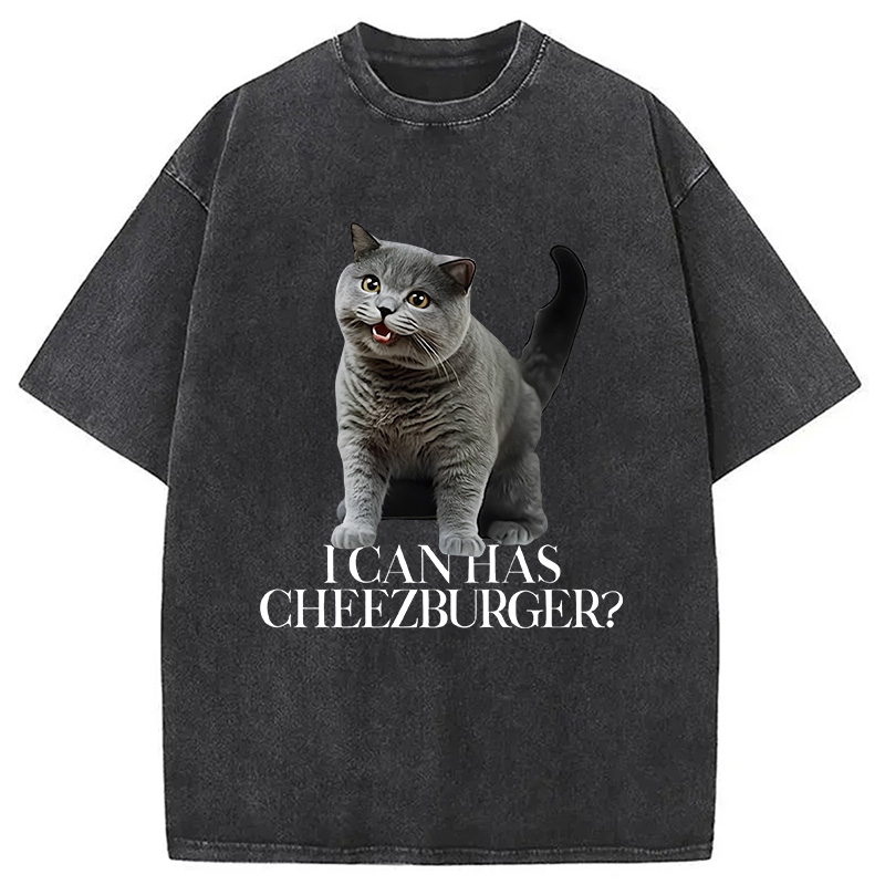 Modecanvas I Can Has Cheezburger Washed T-Shirt
