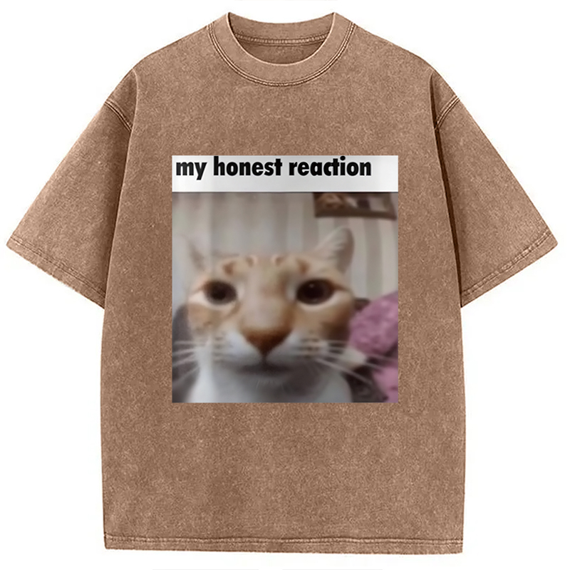 Modecanvas My Honest Reaction Cat Meme Washed T-Shirt