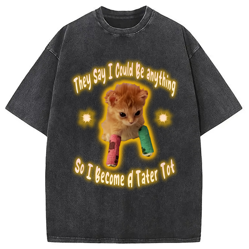 Modecanvas Tater Tot Cat Funny Meme Washed T-Shirt