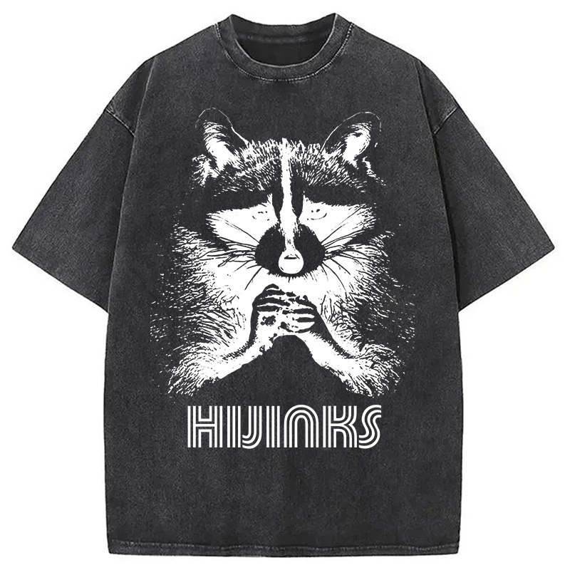 Modecanvas Raccoon Hijinks Washed T-Shirt