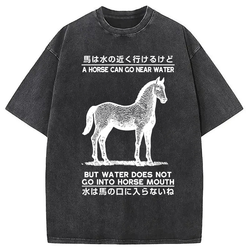 Modecanvas Funny Horse And Water Saying Washed T-Shirt