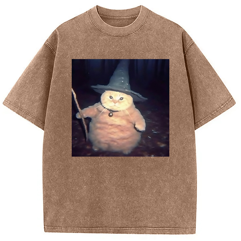 Modecanvas Wizard Cat Funny Halloween Washed T-Shirt-modecanvas