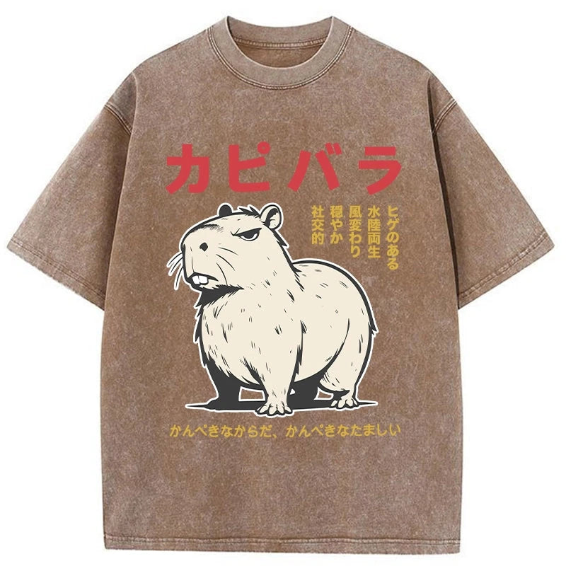Modecanvas Angry Capybara Japan Washed T-Shirt