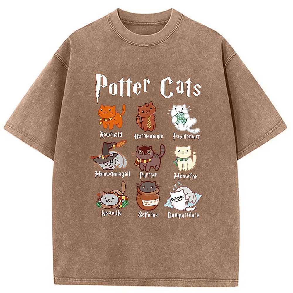 Modecanvas Wizard Cats Washed T-Shirt