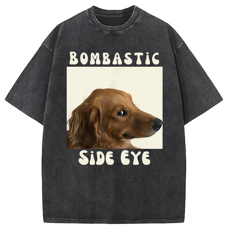 Modecanvas Bombastic Side Eye Funny Dog Meme Washed T-Shirt