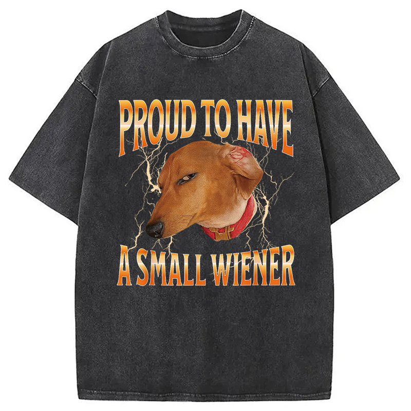 Modecanvas Funny Dog Meme Washed T-Shirt