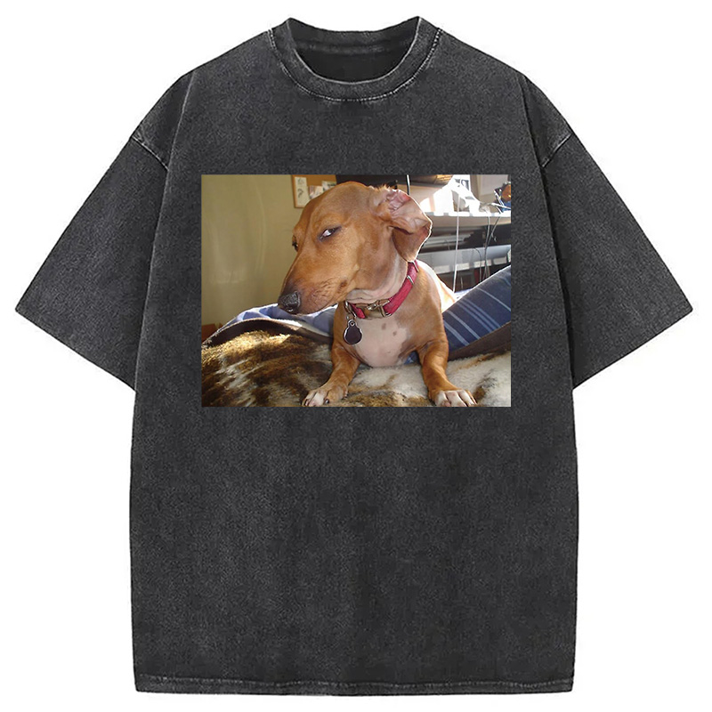 Modecanvas Side Eye Dog Meme Washed T-Shirt