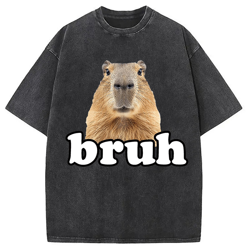 Modecanvas Bruh Capybara Washed T-Shirt