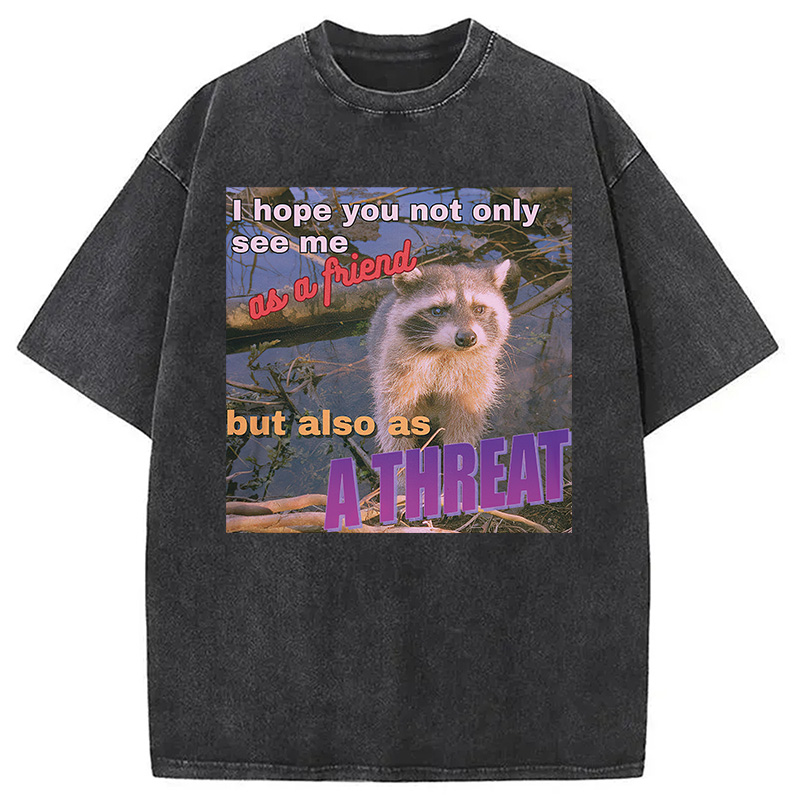Modecanvas Viral Raccoon Meme Washed T-Shirt