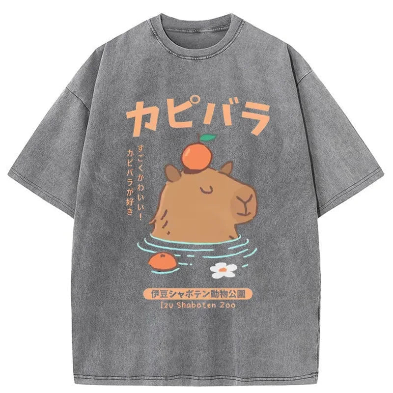 Modecanvas Capybara Soaking In Hot Springs Washed T-Shirt