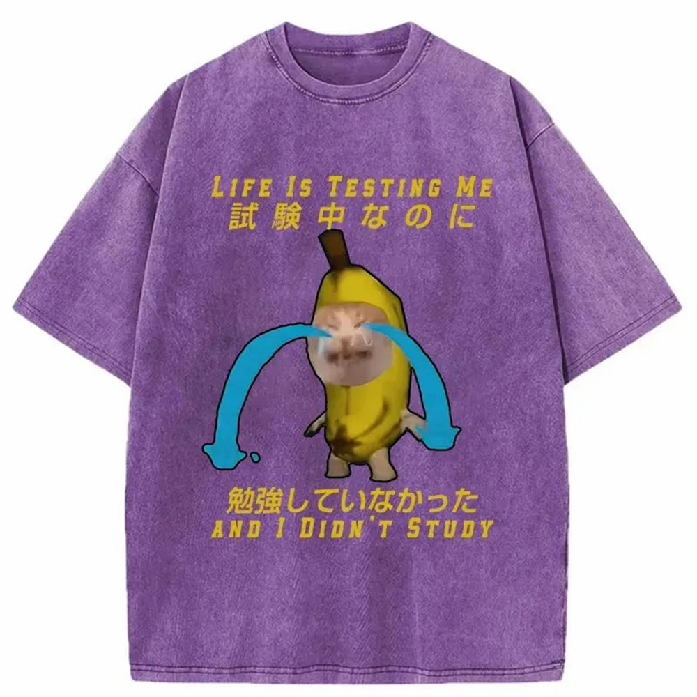 Modecanvas Cat Forced By Life Washed T-Shirt