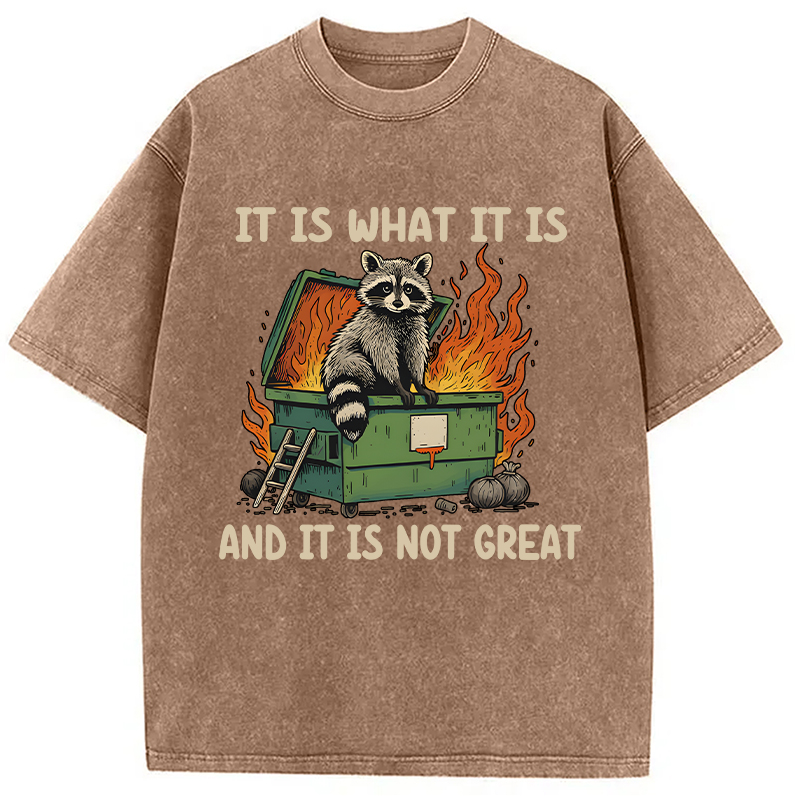 Modecanvas It Is What It Is Dumpster Fire Funny Raccoon Meme Washed T-Shirt