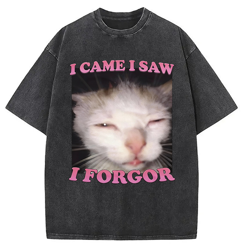 Modecanvas I Forgor Funny Cat Meme Washed T-Shirt-modecanvas