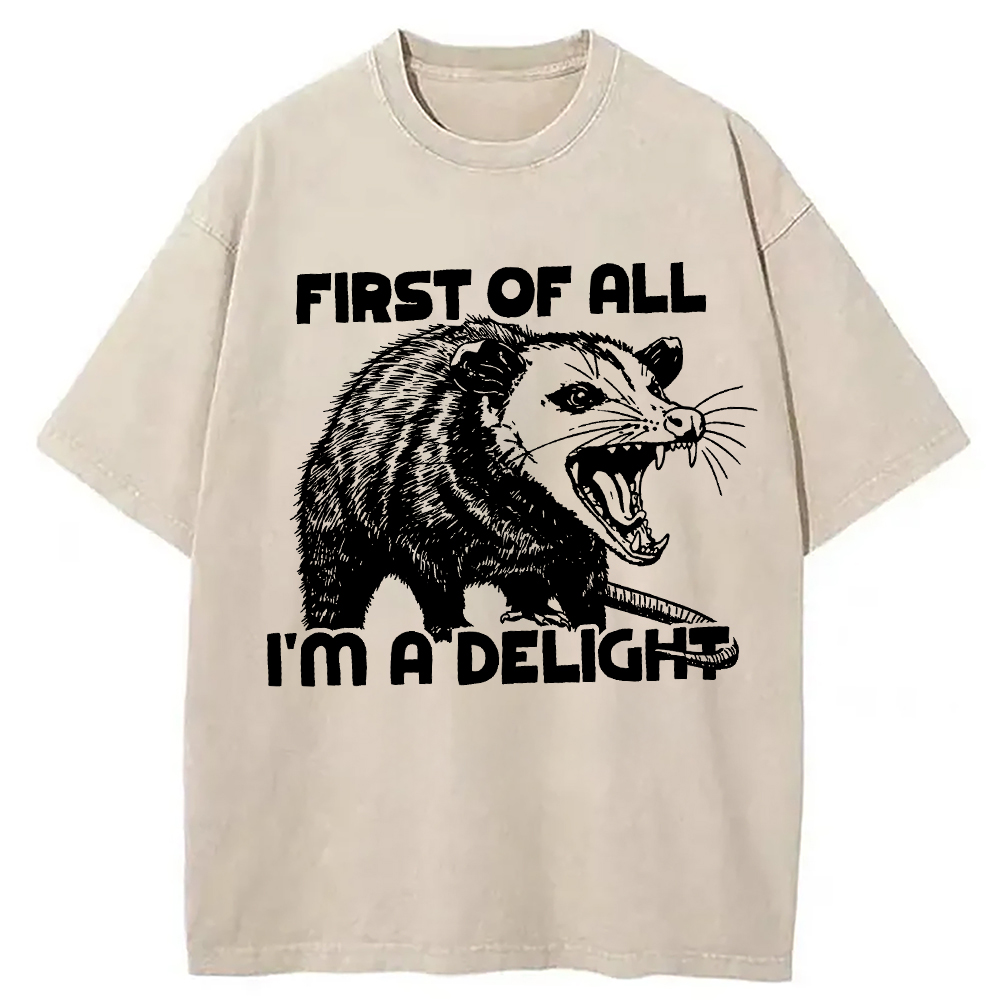 Modecanvas First of All Possum Washed T-Shirt